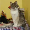 Отзыв от Диана Орехова